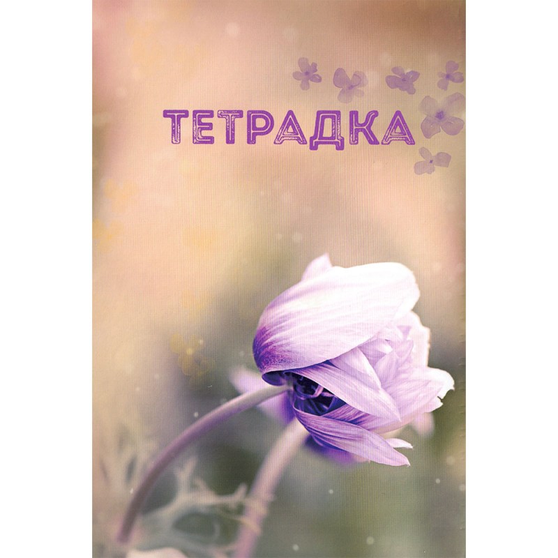 Тетрадка A5 2 теми ТК СП. 100л офсет